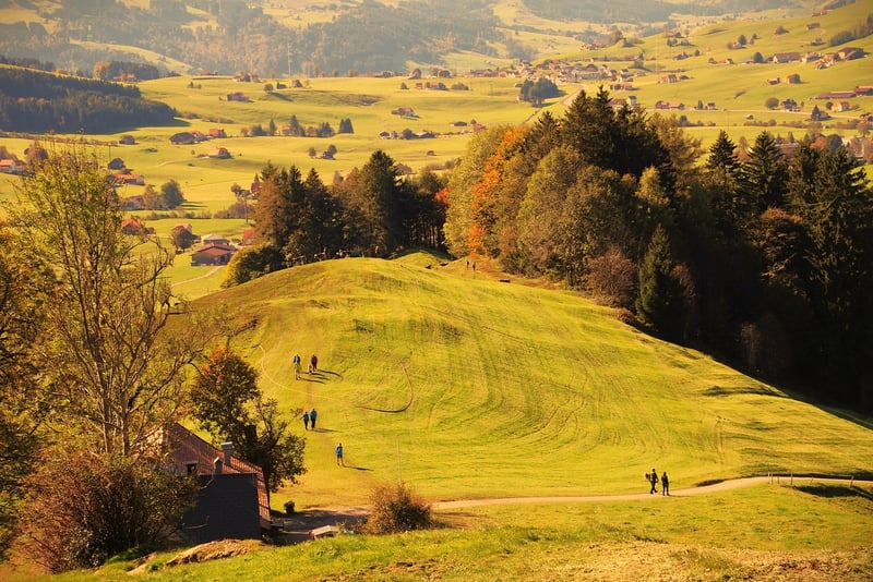 Mindful Movement in Nature